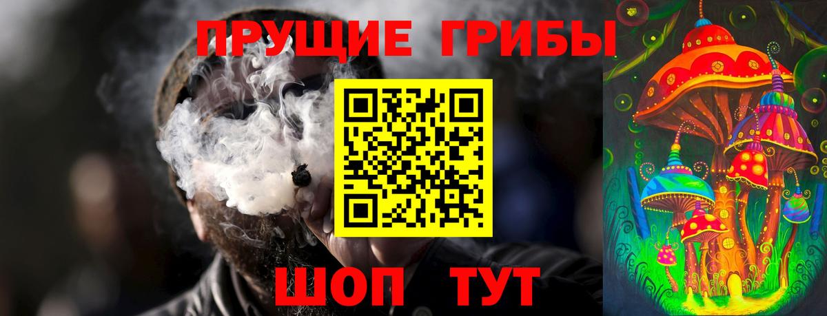 Галлюциногенные грибы GOLDEN TEACHER Красногорск