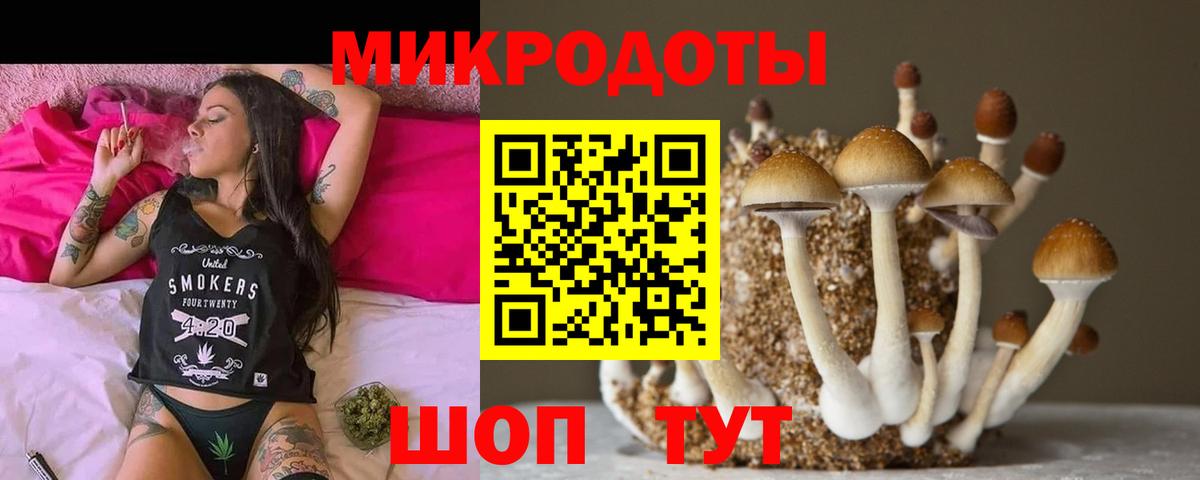Красногорск  Псилоцибиновые грибы Cubensis  Вход с VPN 
